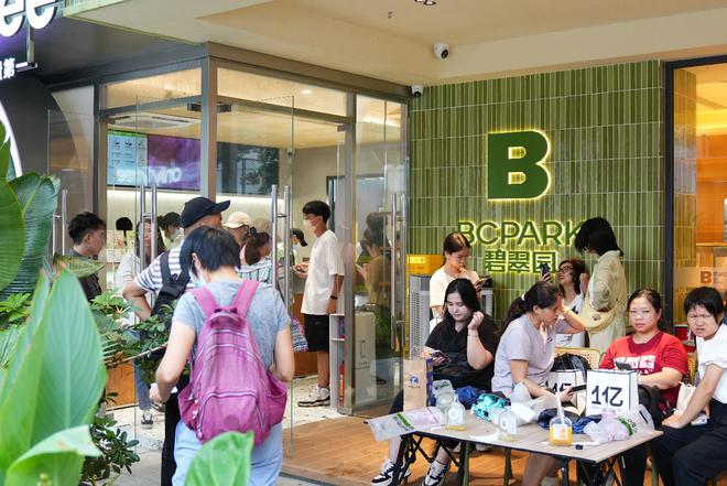件碧翠园：健康烘焙赛道的黑马领袖z6尊龙·中国网站碧翠园加盟条