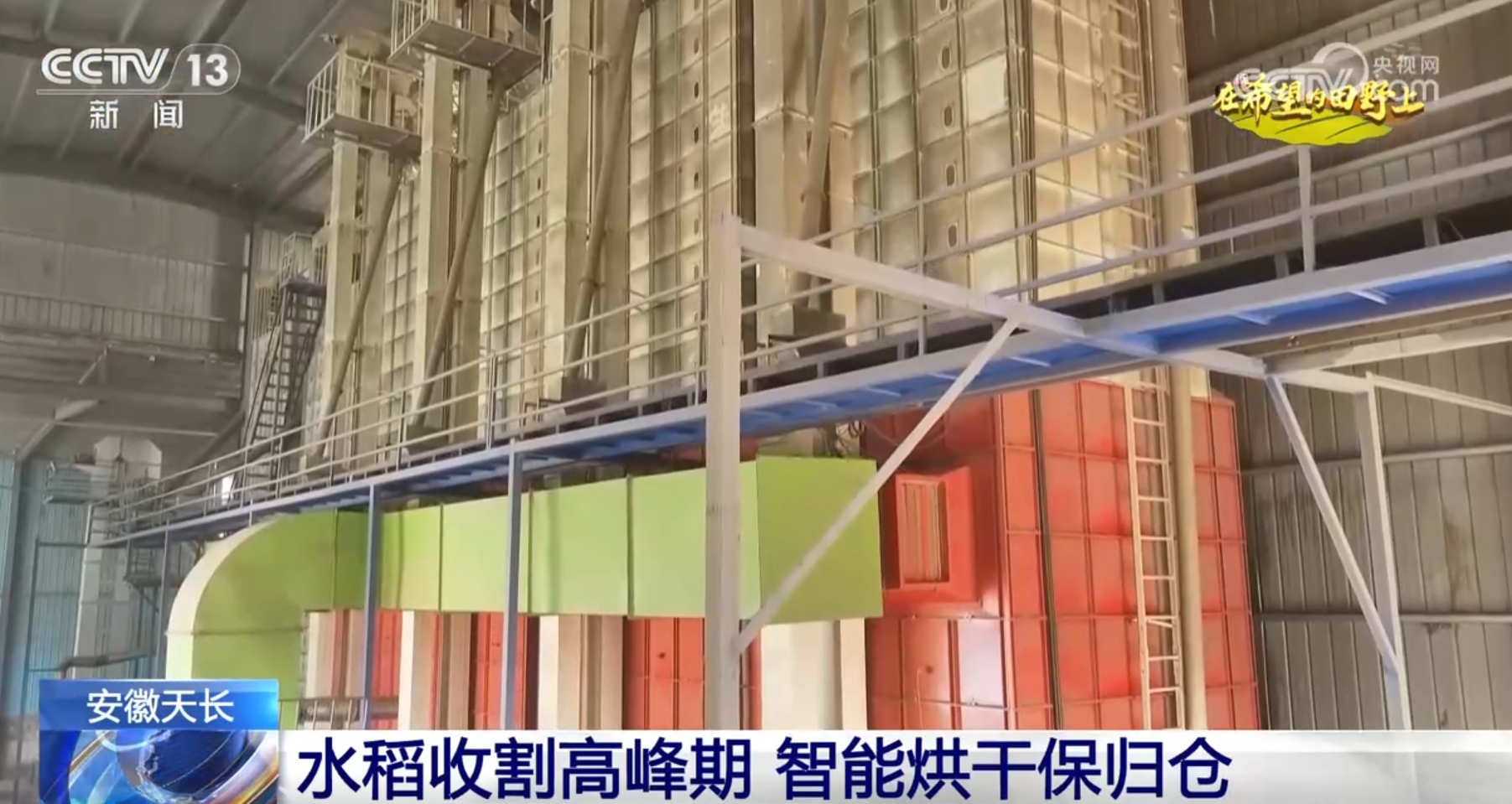 丰”景画卷 农业高“智”量发展行稳致远尊龙凯时APP希望的田野上铺展多彩“(图4)