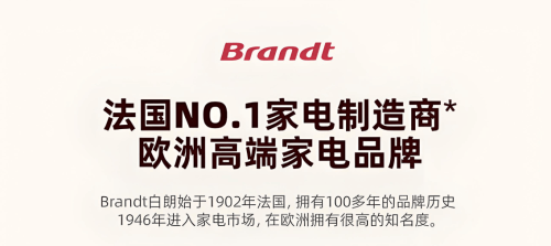 法国白朗BK4烤箱精准拿捏上流圈层品味z6尊龙·中国网站顶级富豪的一致选择(图2)